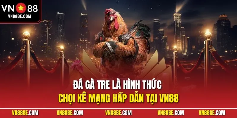 Đá gà tre là hình thức chọi kê mạng hấp dẫn tại VN88
