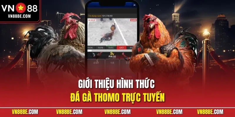 Giới thiệu hình thức đá gà Thomo trực tuyến