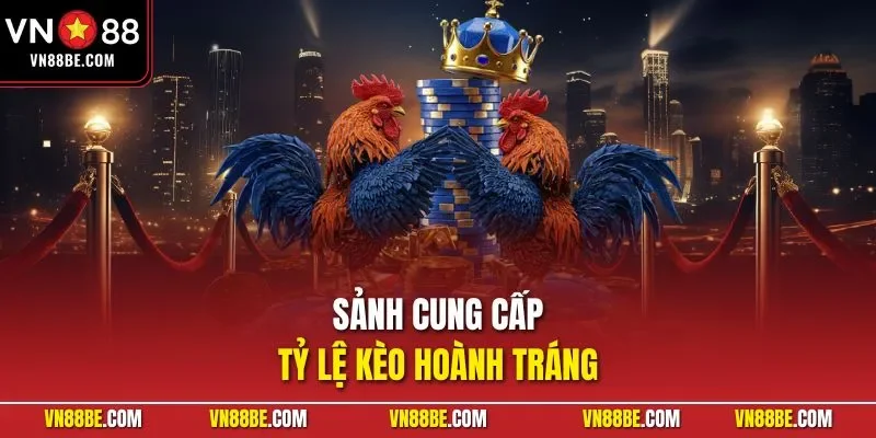 Sảnh cung cấp tỷ lệ kèo hoành tráng