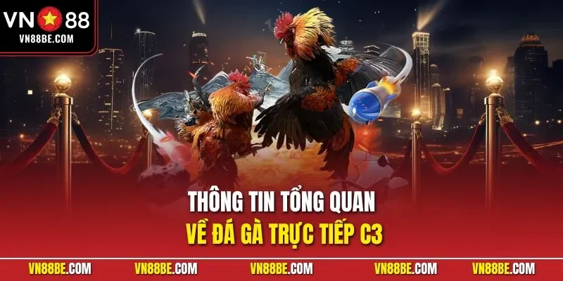 Thông tin tổng quan về đá gà trực tiếp C3