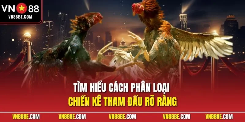 Tìm hiểu cách phân loại chiến kê tham đấu rõ ràng