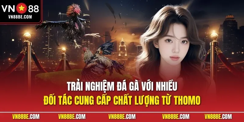 Trải nghiệm đá gà với nhiều đối tác cung cấp chất lượng từ Thomo